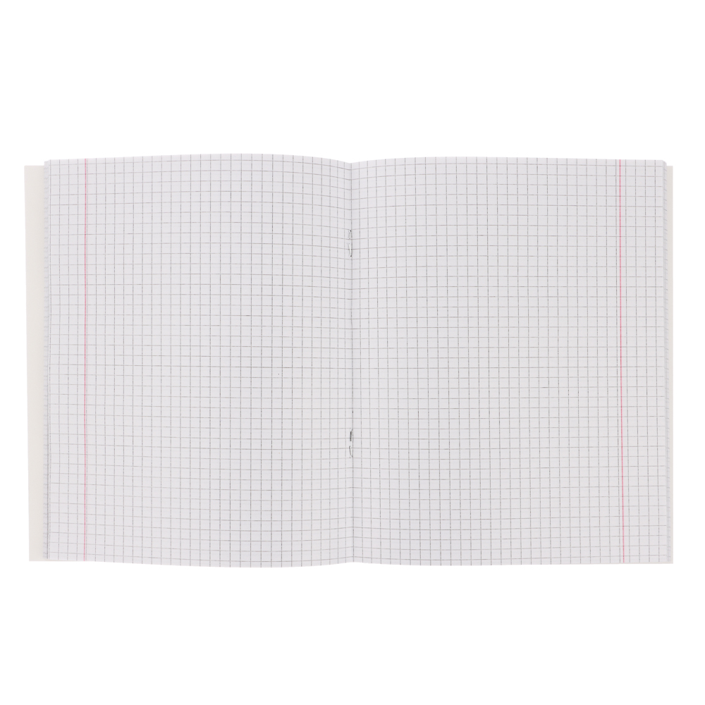 Тетрадь 48л. ClipStudio "Предметная" А5, БЕЛЫЕ ЛИСТЫ, обл.картон, скрепка, 7 видов, справ.мат., арт.№ 578-156