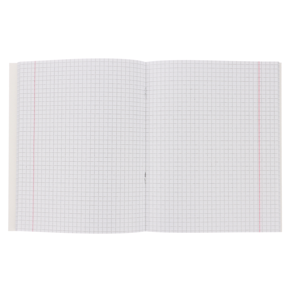 Тетрадь 48л. ClipStudio "Предметная" А5, БЕЛЫЕ ЛИСТЫ, обл.картон, скрепка, 7 видов, справ.мат., арт.№ 578-156