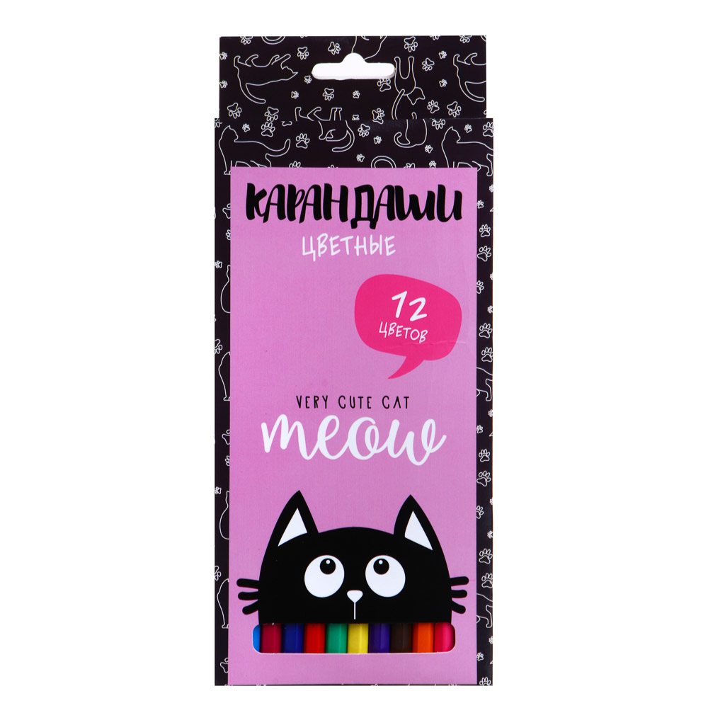МИЛЫЙ КОТИК Карандаши 12 цветов шестигранные заточенные, улучшенное письмо, пластик, в карт.коробке, арт.№ 228-197