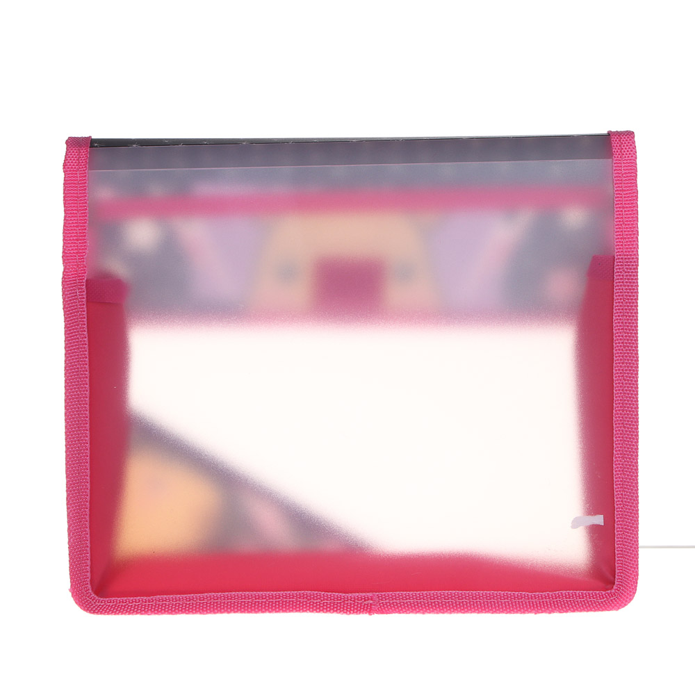 Папка для тетрадей, А5, 24х21см, "Капибара/Бэд Панда", расширение 5см, на липучке, пластик, арт.№ 524-265