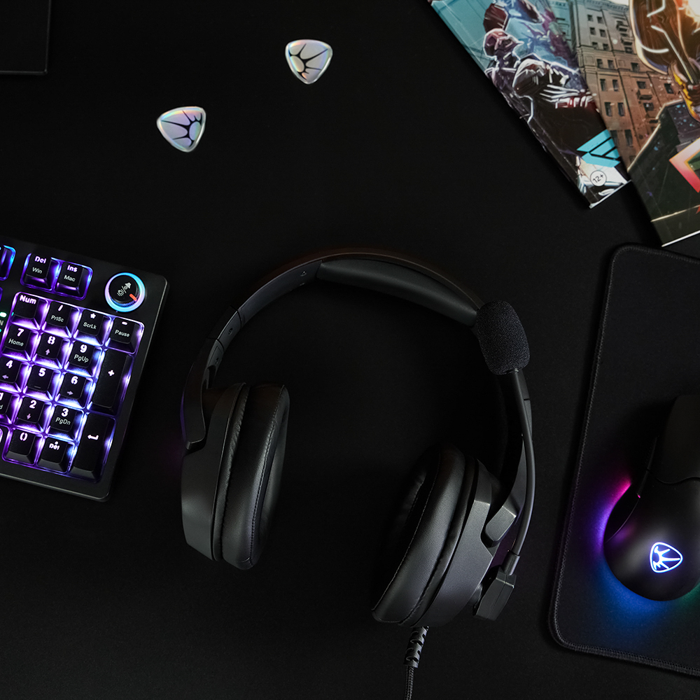 Наушники проводные с микрофоном игровые BY Dzingasa USB 3,2 м, VS7.1, настраиваемая RGB подсветка, арт.№ 410-090