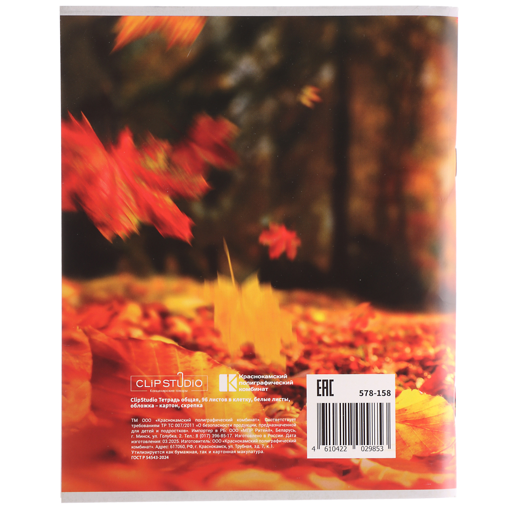 Тетрадь общая 96 листов в клетку ClipStudio, БЕЛЫЕ ЛИСТЫ, обложка картон, скрепка, 4 дизайна, арт.№ 578-158