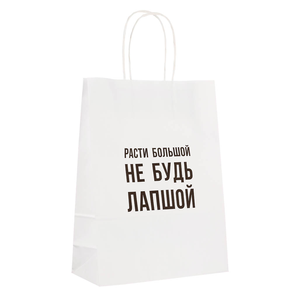 Пакет подарочный с надписями, белый, L 24x10,5x32см, 5 в асс, арт.№ 507-512