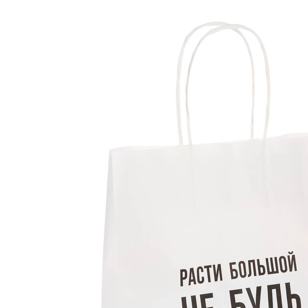 Пакет подарочный с надписями, белый, L 24x10,5x32см, 5 в асс, арт.№ 507-512