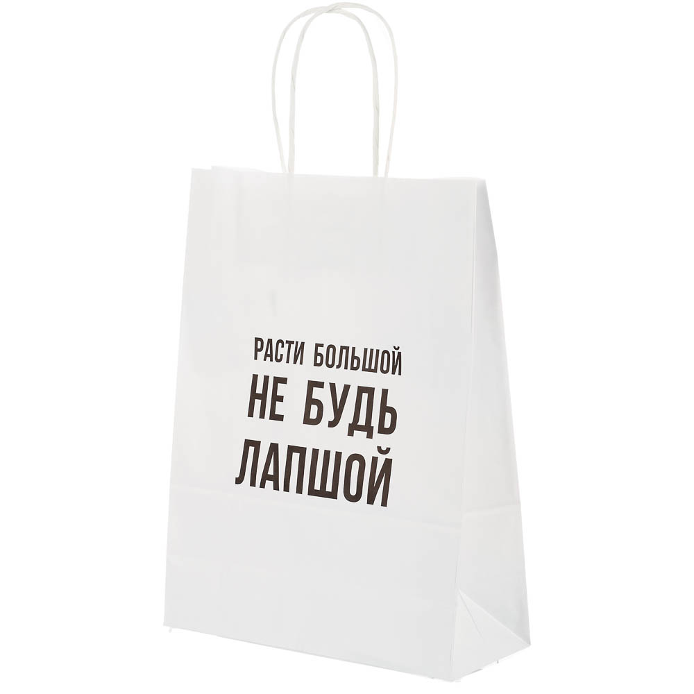 Пакет подарочный с надписями, белый, L 24x10,5x32см, 5 в асс, арт.№ 507-512