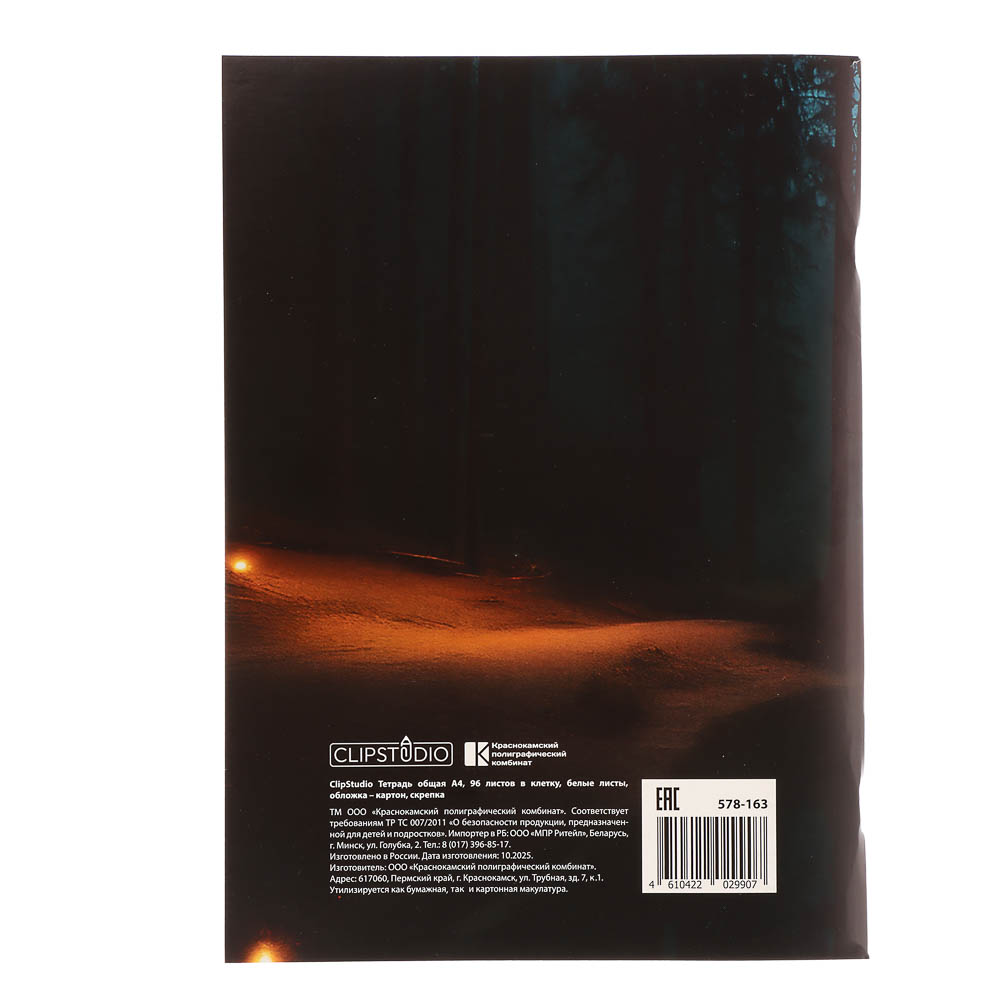 Тетрадь общая А4, 96 листов, в клетку, ClipStudio БЕЛЫЕ ЛИСТЫ, обложка картон, скрепка, 4 дизайна, арт.№ 578-163
