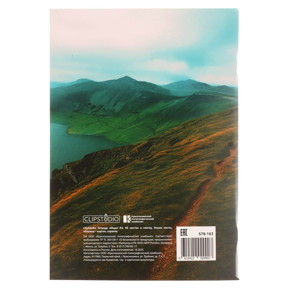 Тетрадь общая А4, 96 листов, в клетку, ClipStudio БЕЛЫЕ ЛИСТЫ, обложка картон, скрепка, 4 дизайна, арт.№ 578-163