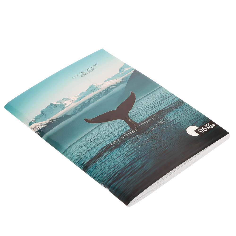 Тетрадь общая А4, 96 листов, в клетку, ClipStudio БЕЛЫЕ ЛИСТЫ, обложка картон, скрепка, 4 дизайна, арт.№ 578-163