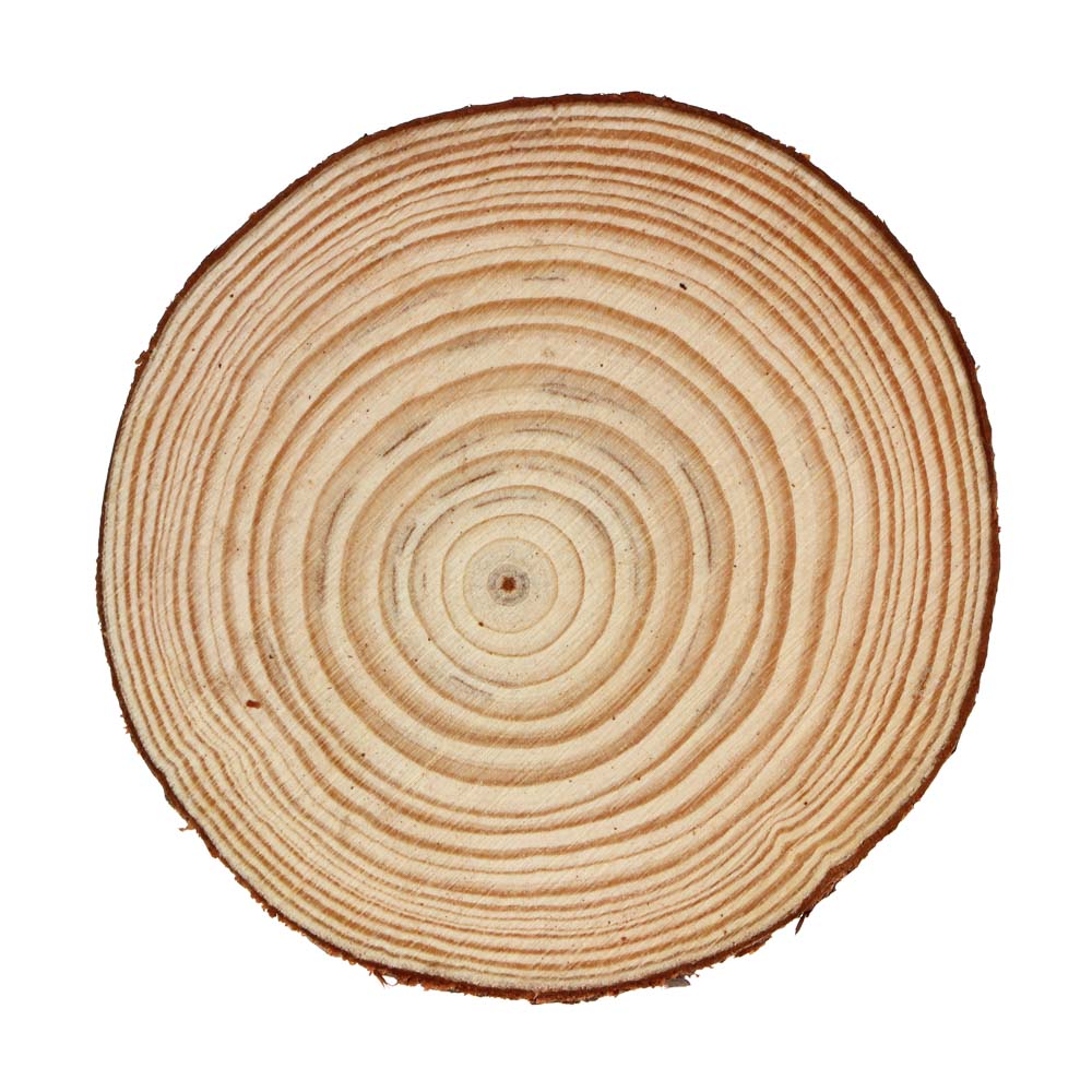 INBLOOM Спил сосновый для декора 10-11х1см, арт.№ 153-170