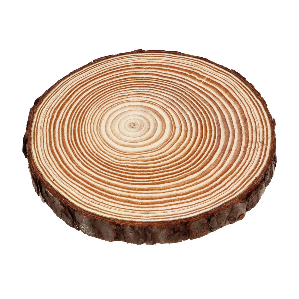 INBLOOM Спил сосновый для декора 15-16х1.5см, арт.№ 153-169