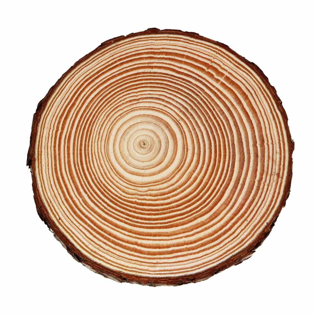 INBLOOM Спил сосновый для декора 15-16х1.5см, арт.№ 153-169