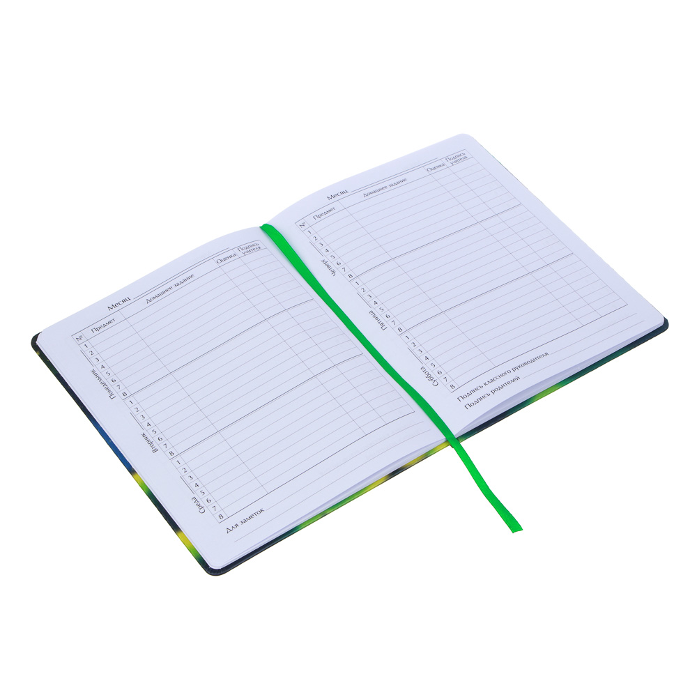 Дневник школьный 48 листов формат А5+ "Девочка с подарком", 20,8х16,5 см, твердая обложка, искусственная кожа с цветной печатью, закладка, арт.№ 564-042