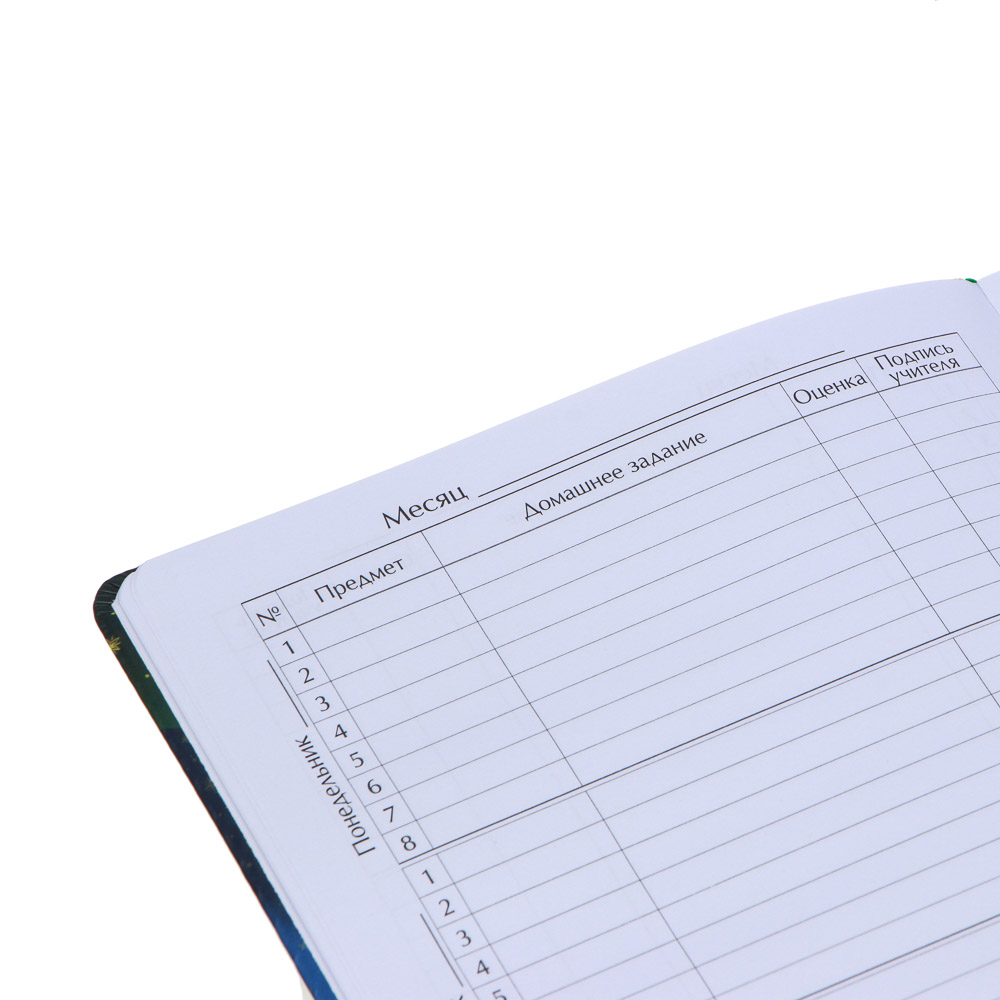 Дневник школьный 48 листов формат А5+ "Девочка с подарком", 20,8х16,5 см, твердая обложка, искусственная кожа с цветной печатью, закладка, арт.№ 564-042