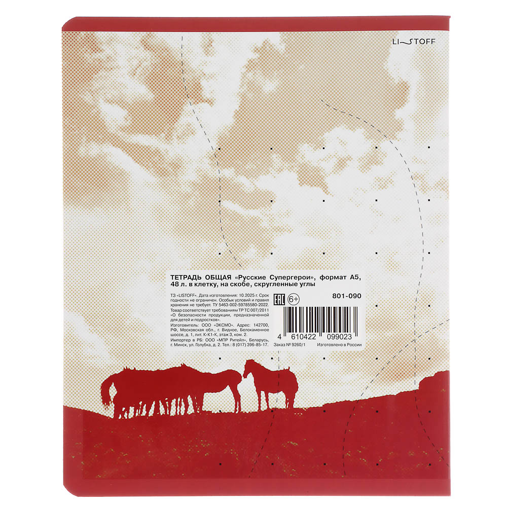 Тетрадь общая BY Русские Супергерои, формат А5, 48л. в клетку, на скобе, скруглен. углы, в ассортим., арт.№ 801-090