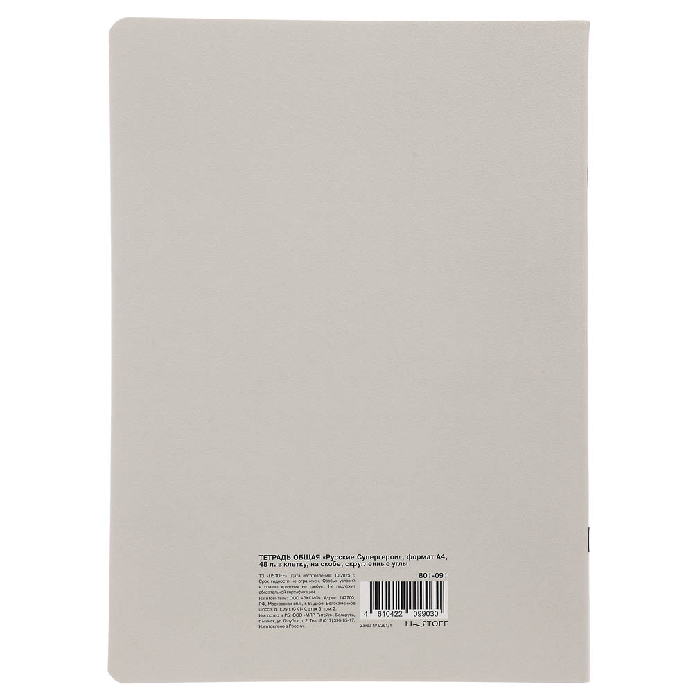 Тетрадь общая BY Русские Супергерои, формат А4, 48л. в клетку, на скобе, скруглен. углы, в ассортим., арт.№ 801-091