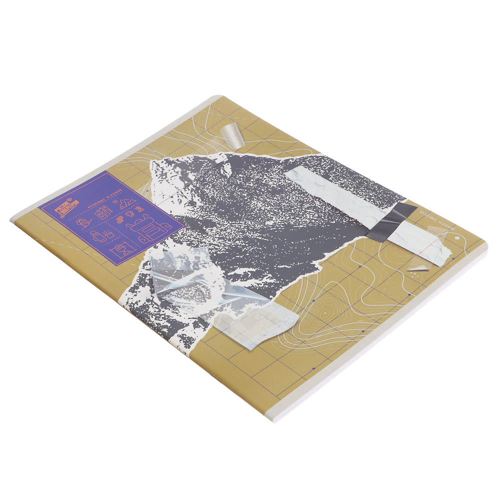 Тетрадь общая BY Русские Супергерои, формат А4, 48л. в клетку, на скобе, скруглен. углы, в ассортим., арт.№ 801-091