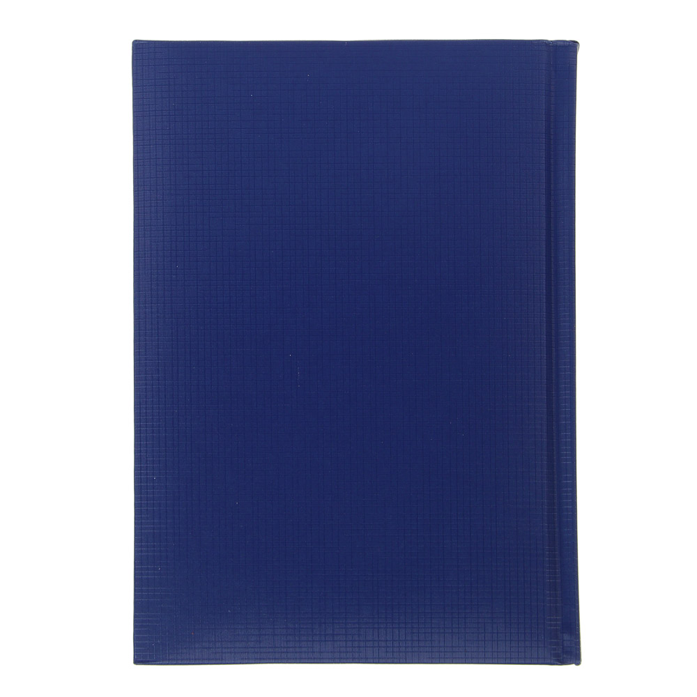 Ежедневник на 2025 "ТЕКСТУР" А5, 352 стр., твердая обложка с поролоном, фактурный бумвинил, синий, арт.№ 572-228