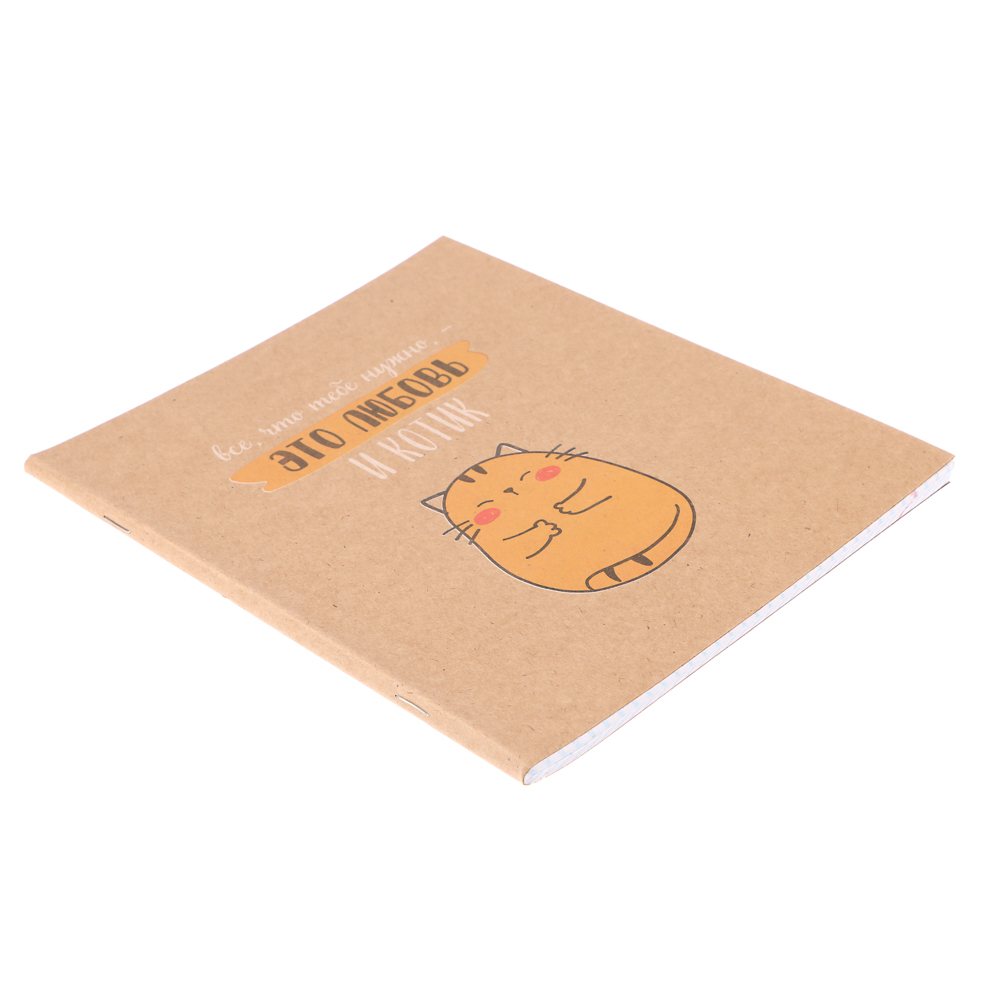 Тетрадь 48 л. в клетку ClipStudio, офсет, обл. мел.картон, скрепка, крафт, 4 дизайна, арт.№ 578-167