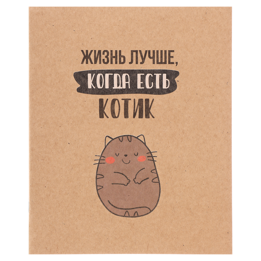 Тетрадь 48 л. в клетку ClipStudio, офсет, обл. мел.картон, скрепка, крафт, 4 дизайна, арт.№ 578-167