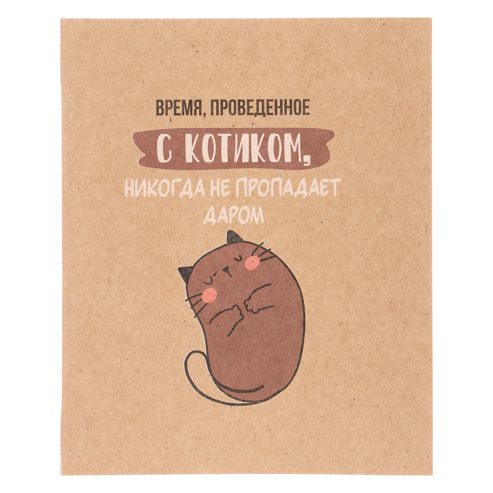 Тетрадь 48 л. в клетку ClipStudio, офсет, обл. мел.картон, скрепка, крафт, 4 дизайна, арт.№ 578-167