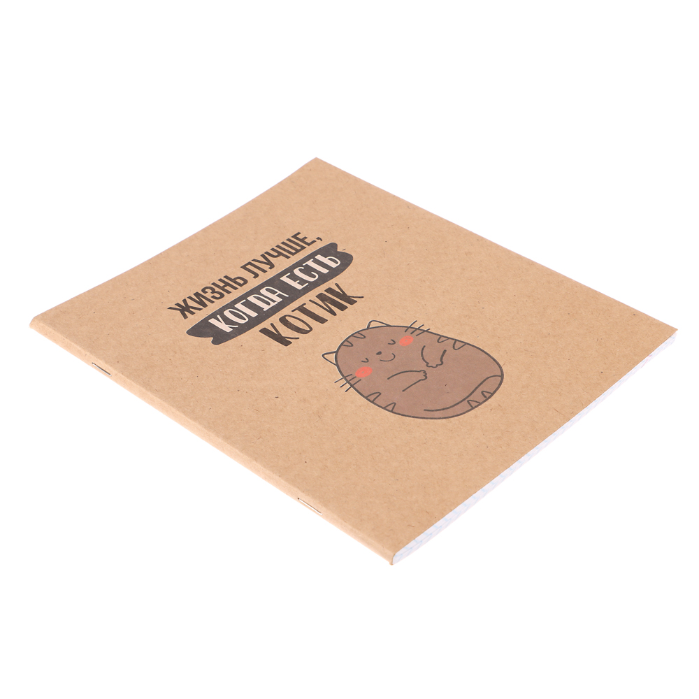 Тетрадь 48 л. в клетку ClipStudio, офсет, обл. мел.картон, скрепка, крафт, 4 дизайна, арт.№ 578-167