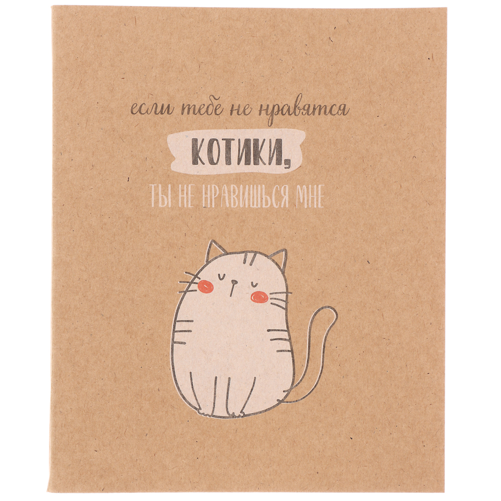 Тетрадь 48 л. в клетку ClipStudio, офсет, обл. мел.картон, скрепка, крафт, 4 дизайна, арт.№ 578-167