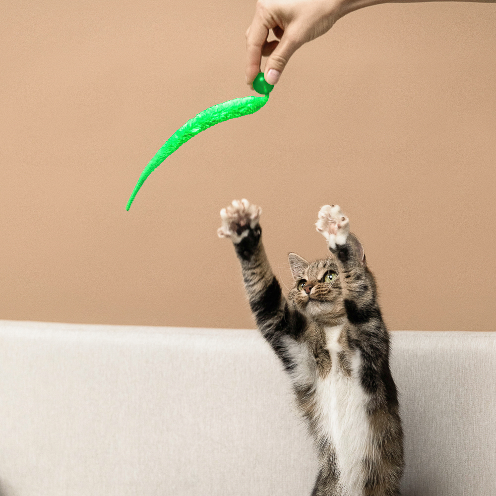 VETTA Игрушка для домашних животных, ТПР, ПЭ, 2,5 см, арт.№ 273-125