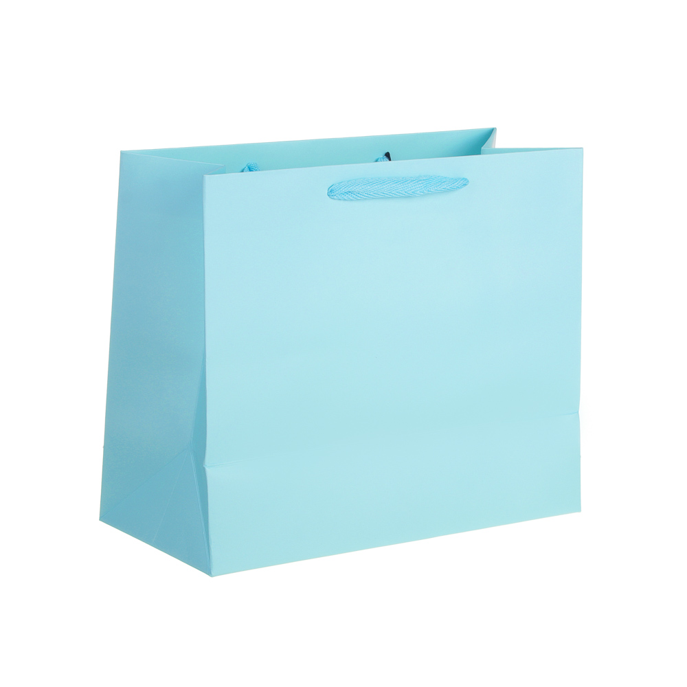 Пакет подарочный тм LADECOR, вскч бум., с ПВХ окном, М 24x20x11 см, 6цветов, арт.№ 507-188