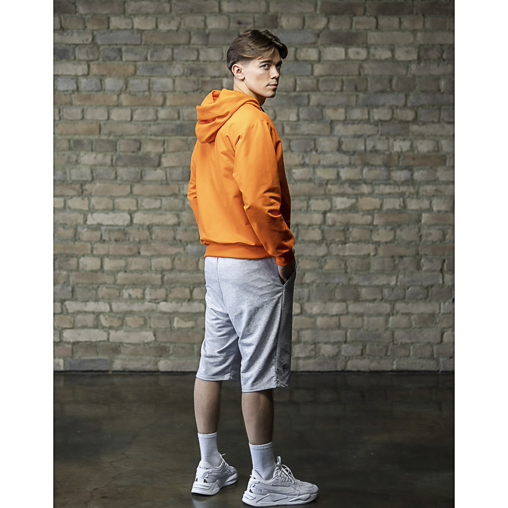 BY Толстовка мужская Teaser, хлопок, р-р S-2XL, 3 цвета, арт.№ 838-069