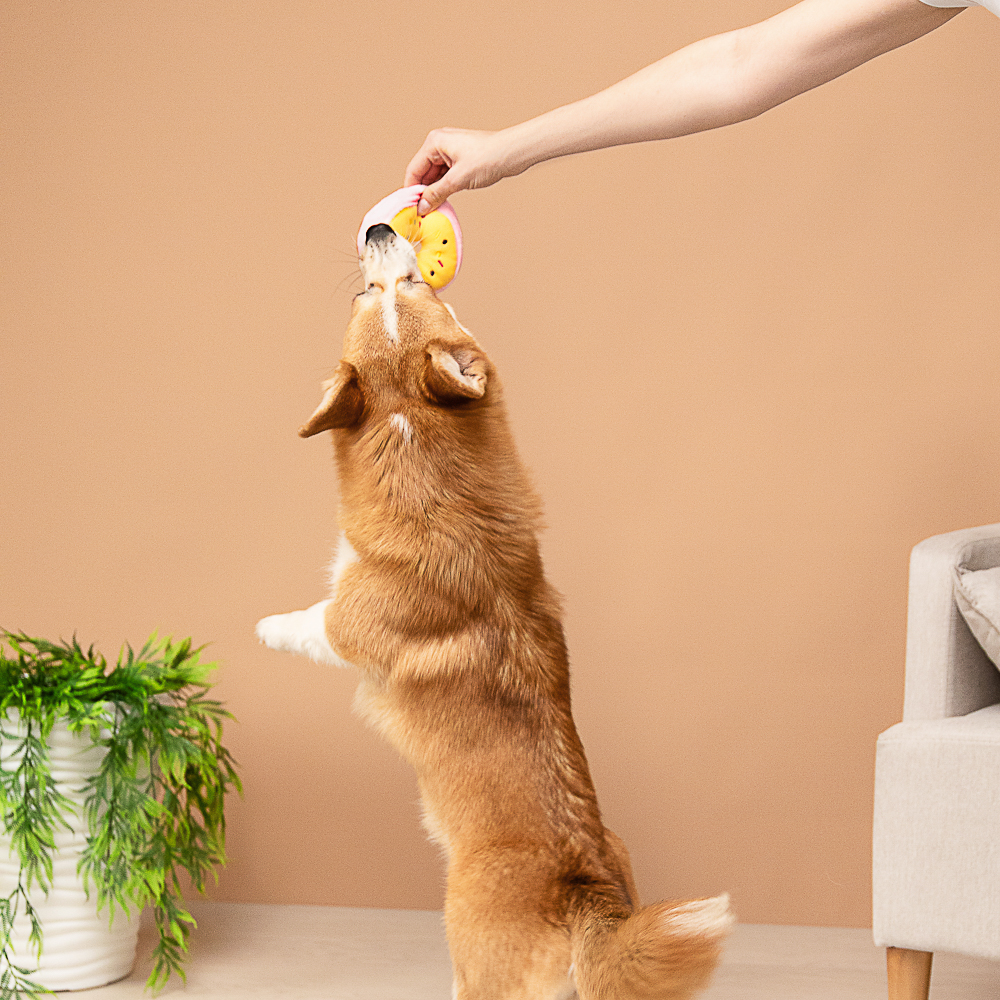 VETTA Игрушка для домашних животных, ПЭ, 11х4 см, арт.№ 273-320