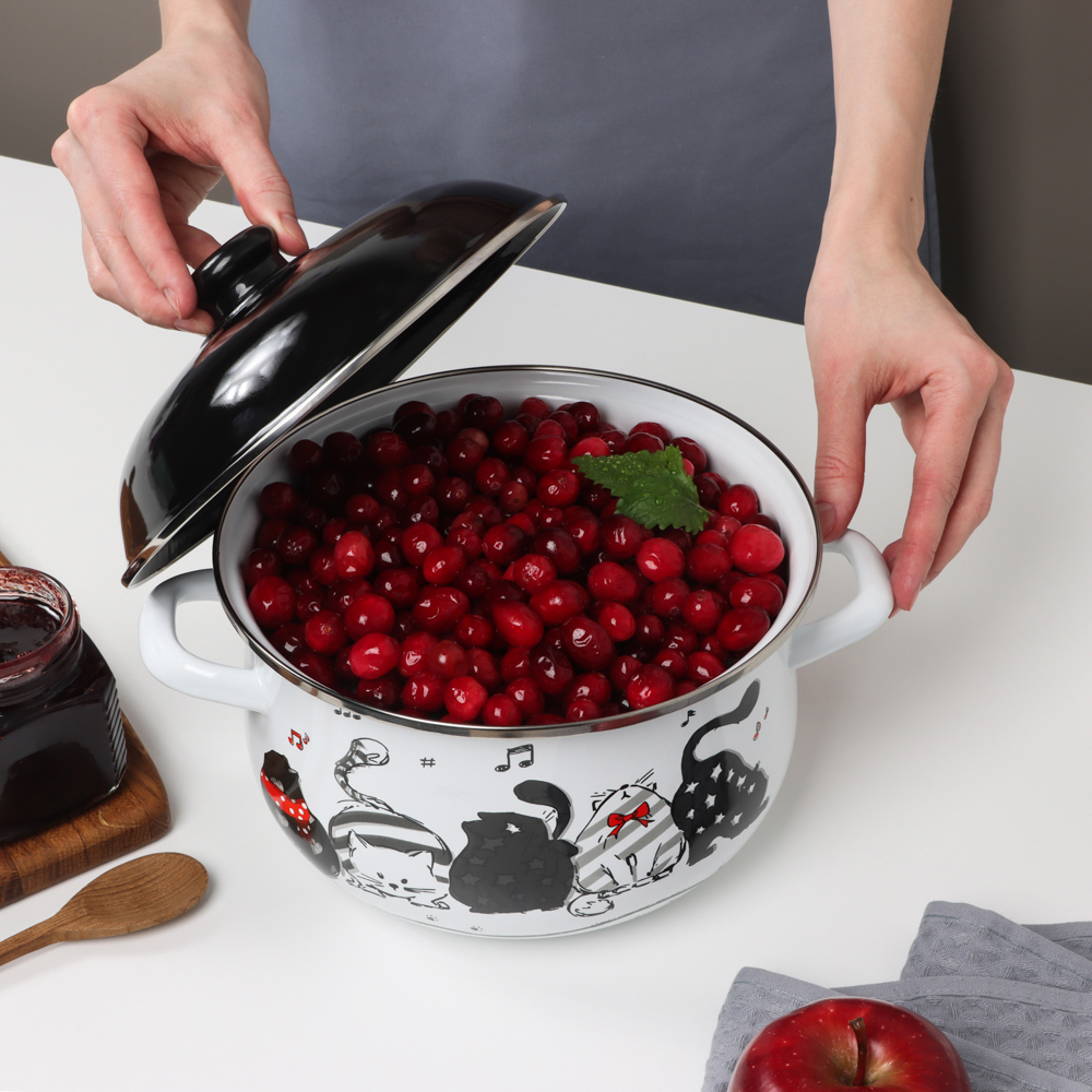 VETTA Хвостатые друзья Кастрюля эмалированная, 22см, 3,6л, индукция, арт.№ 894-542