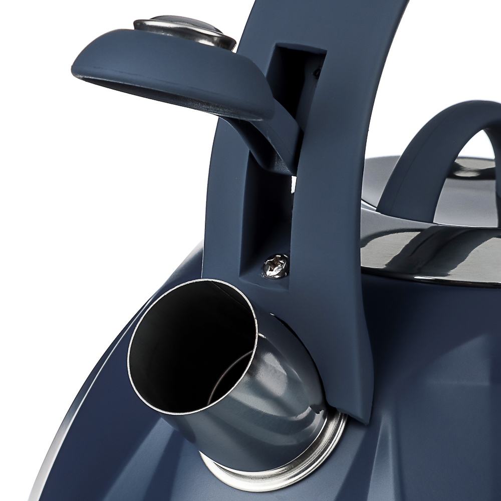 SATOSHI Чайник стальной 2,7л "Ривьера", индукция, арт.№ 847-119