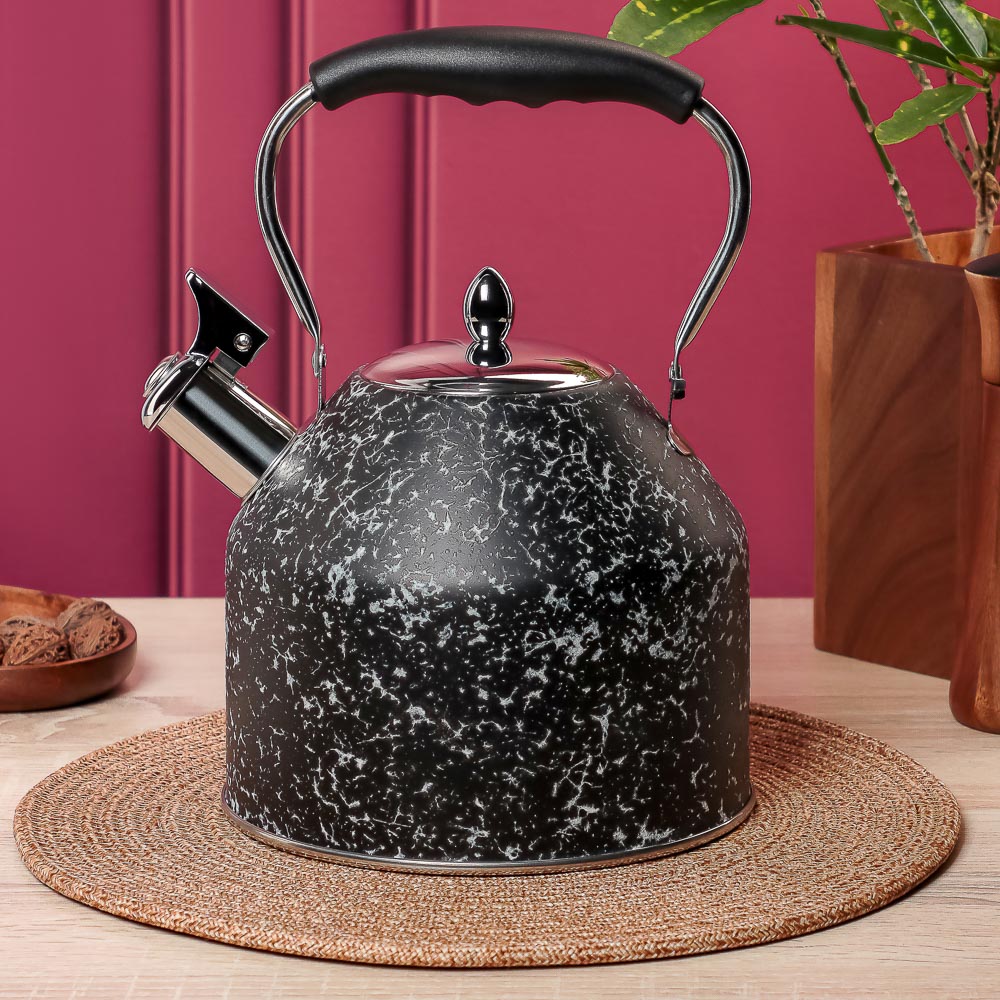 VETTA Чайник стальной 2,7л "Терра", индукция, арт.№ 847-120