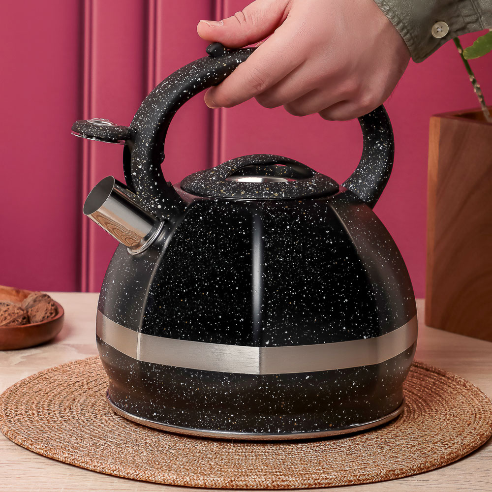 VETTA Чайник стальной 2,9л "Мартино", индукция, арт.№ 847-122