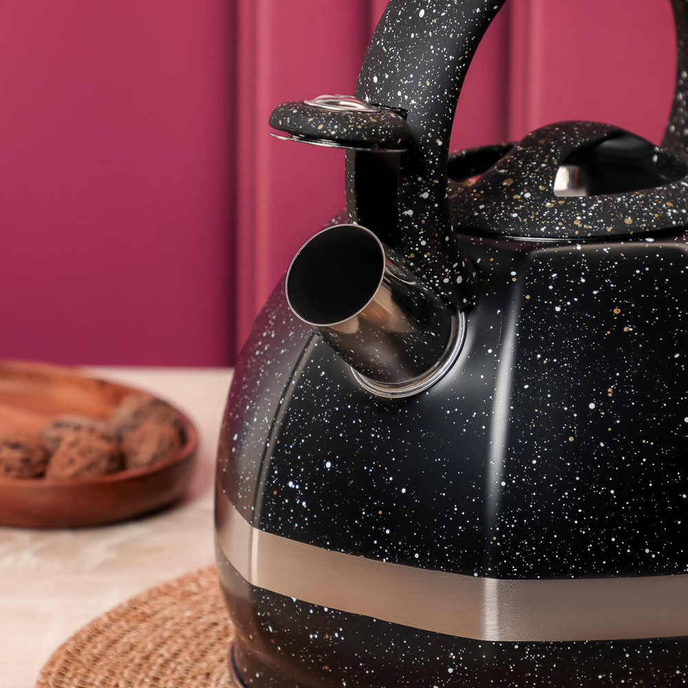 VETTA Чайник стальной 2,9л "Мартино", индукция, арт.№ 847-122