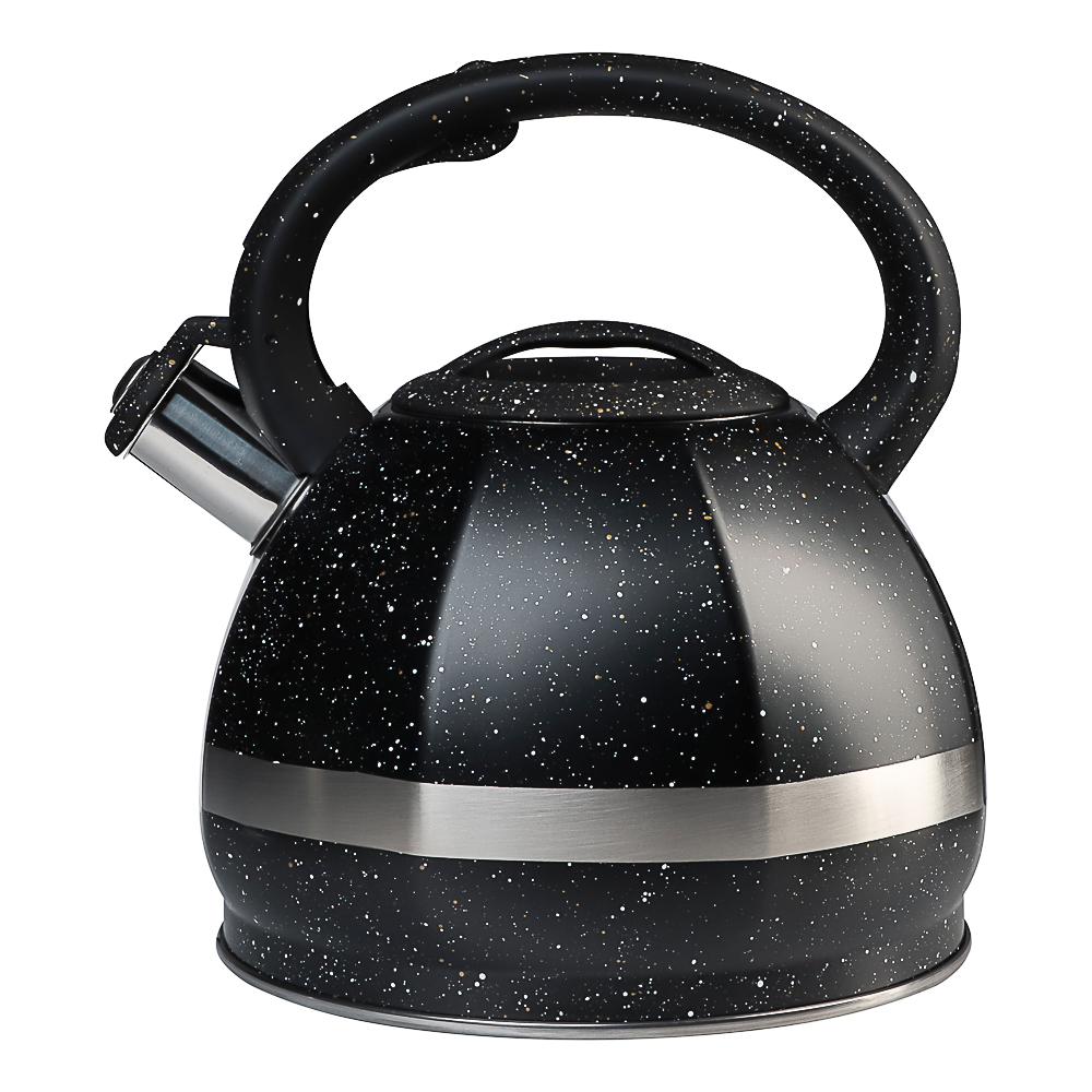 VETTA Чайник стальной 2,9л "Мартино", индукция, арт.№ 847-122