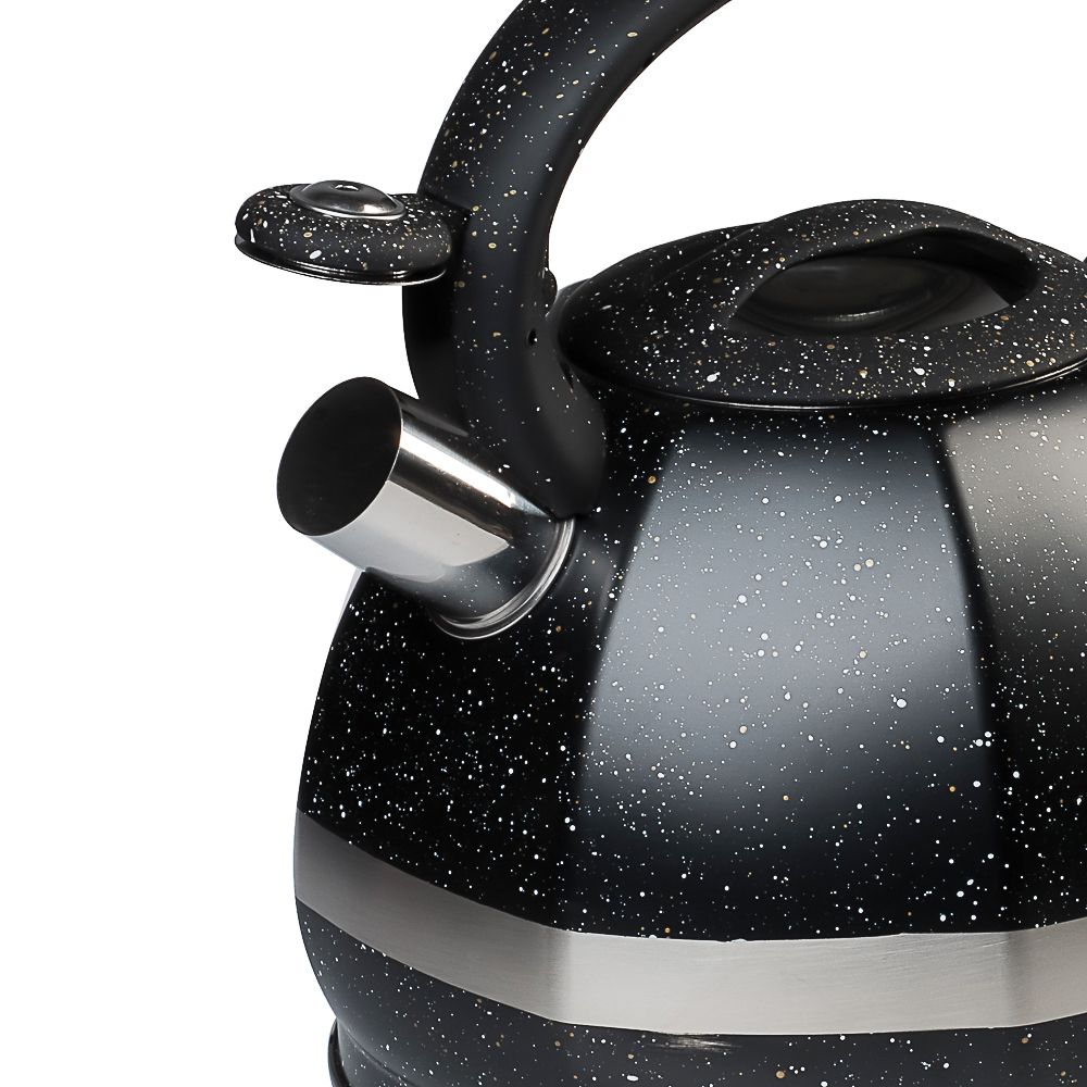 VETTA Чайник стальной 2,9л "Мартино", индукция, арт.№ 847-122