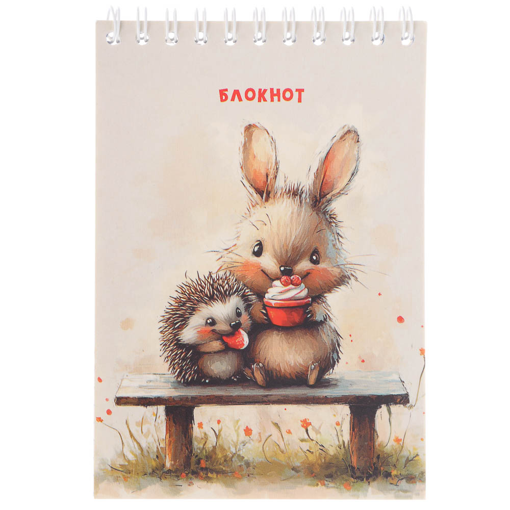 Блокнот А6, 40л., офсет, обложка картон, спираль, в клетку, 9 диз., арт.№ 540-018