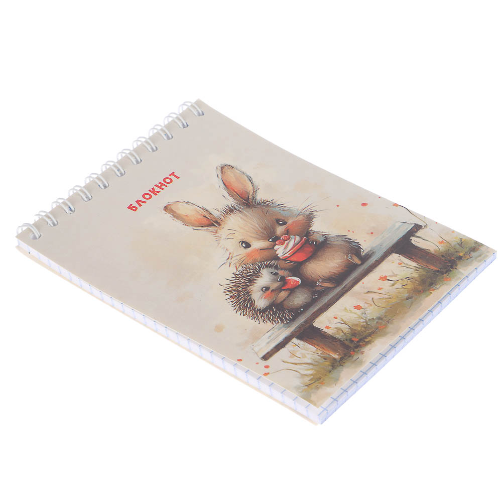 Блокнот А6, 40л., офсет, обложка картон, спираль, в клетку, 9 диз., арт.№ 540-018