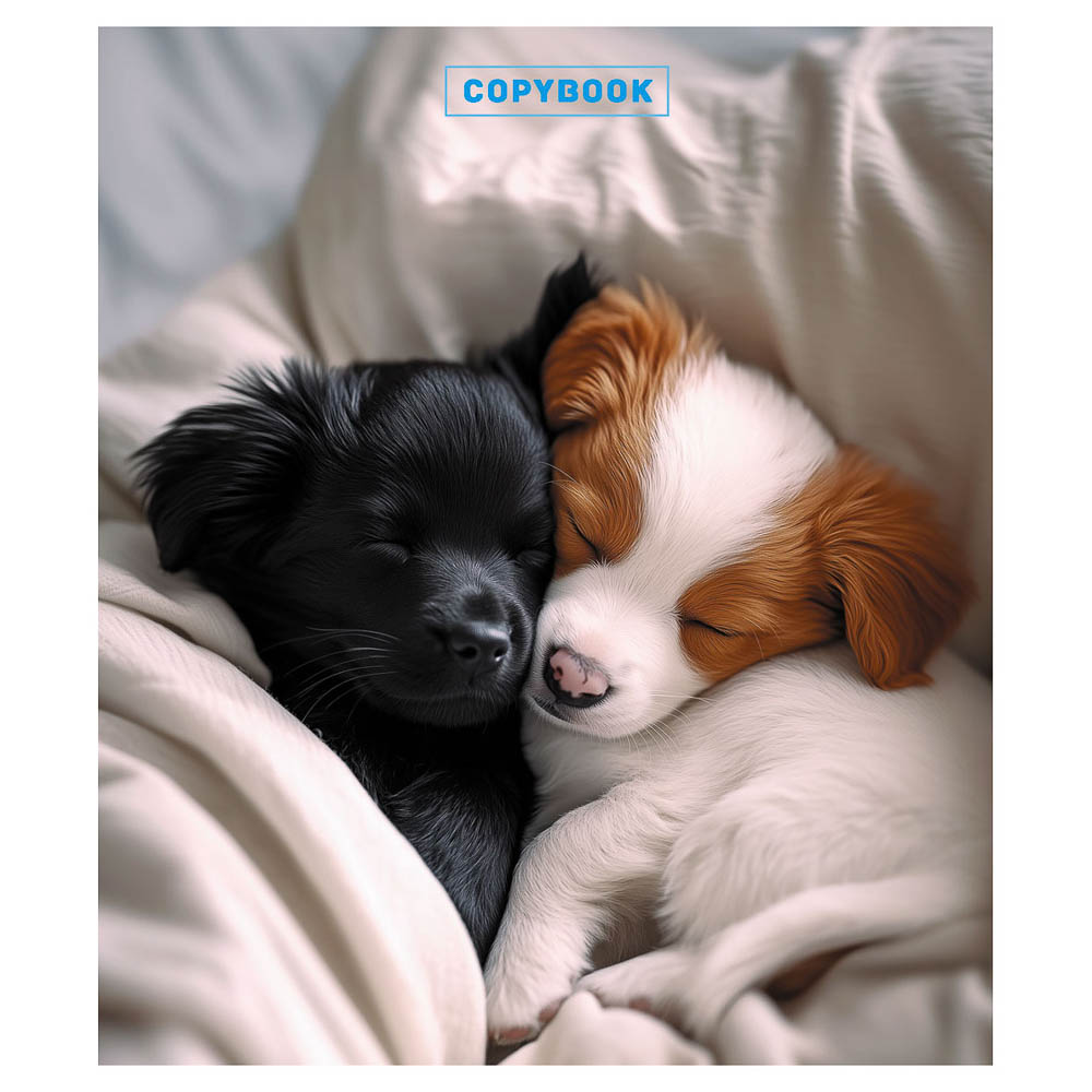 Блокнот А6, 40л., офсет, обложка картон, спираль, в клетку, 9 диз., арт.№ 540-018