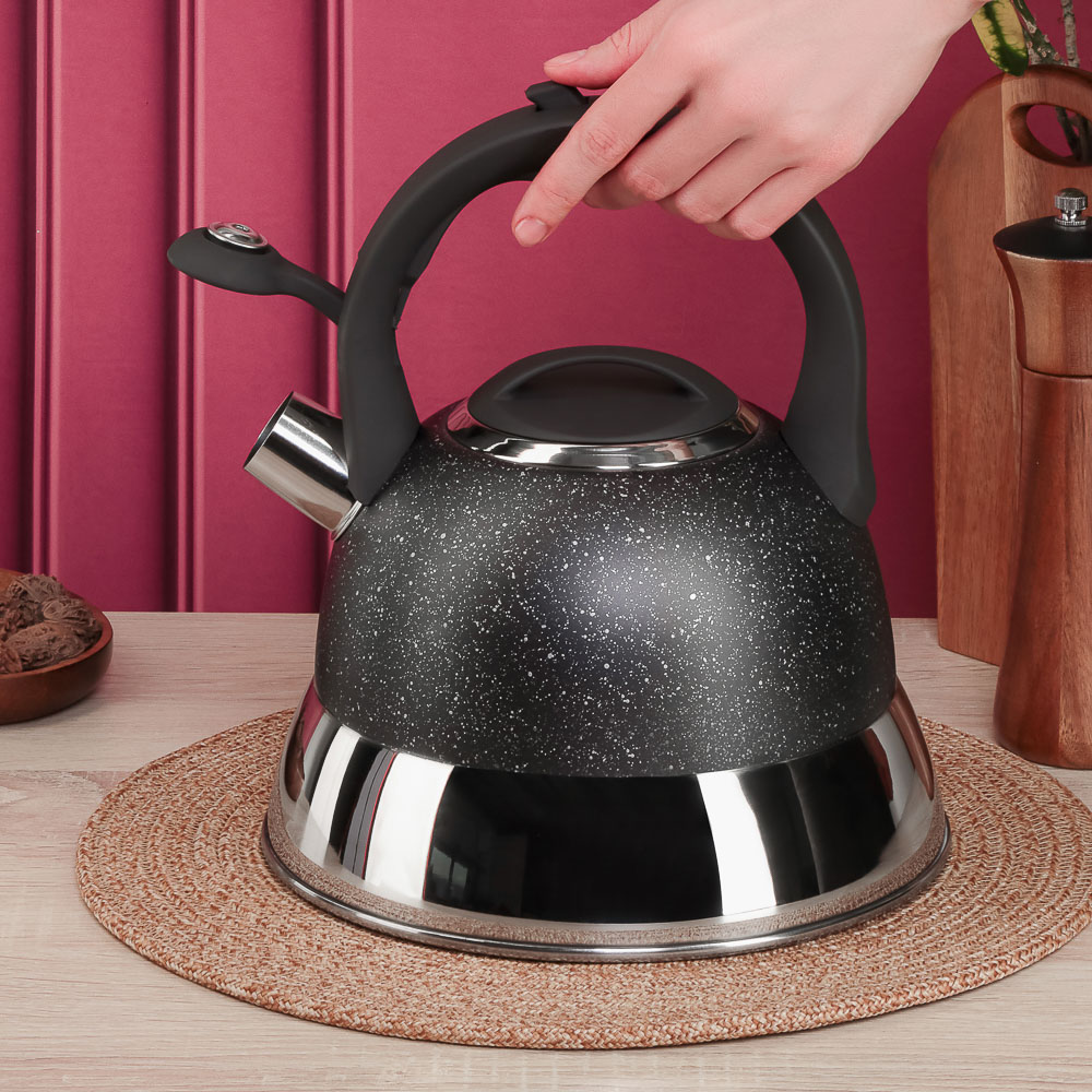 SATOSHI Чайник стальной 2,7л "Гардан", индукция, арт.№ 847-123