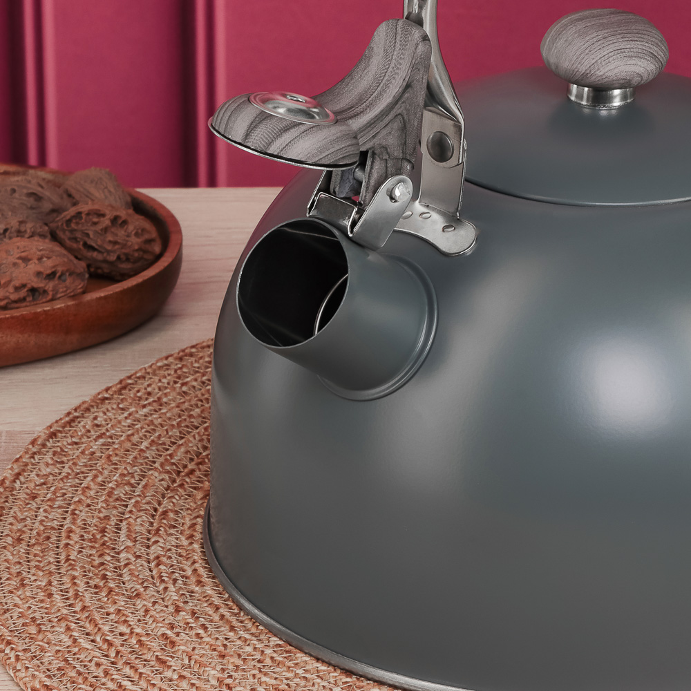 VETTA Чайник стальной 2,2л "Ливорно", индукция, арт.№ 847-124