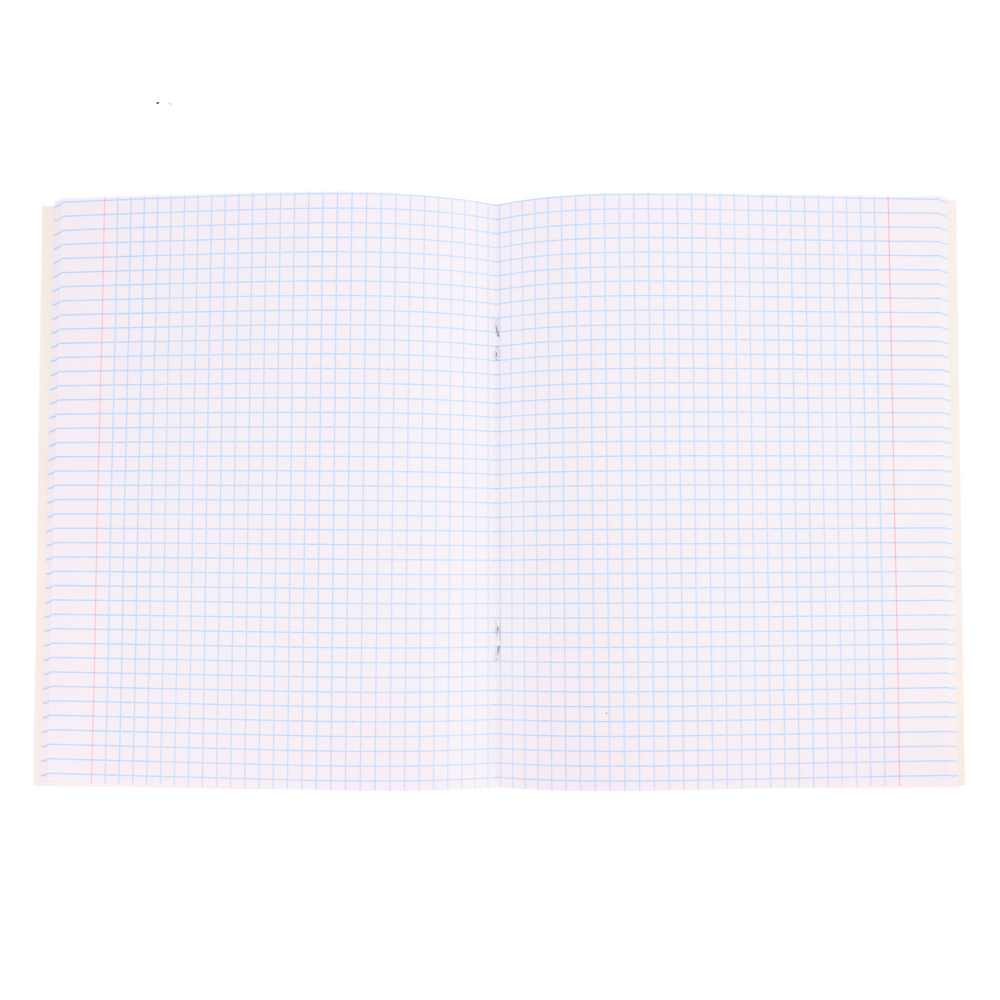 BY Русские Супергерои Тетрадь общая 48л. в клетку "РСГ", УФ, твин лак, обл. картон, скрепка, 2 диз., арт.№ 801-079