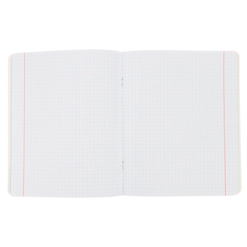 Тетрадь 48л., А5, в клетку, офсет, обл.мел.картон, скрепка, софт тач, микс, арт.№ 578-178