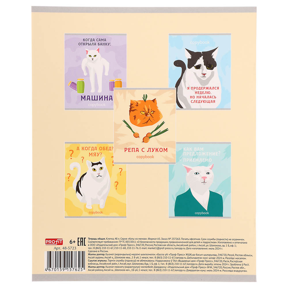 Тетрадь 48л., А5, в клетку, офсет, обл. мел.картон, скрепка, ВД-лак, микс, арт.№ 578-179