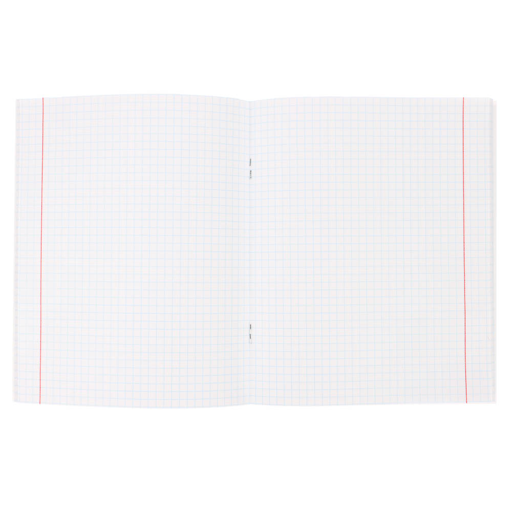 Тетрадь 48л., А5, в клетку, офсет, обл. мел.картон, скрепка, ВД-лак, микс, арт.№ 578-179