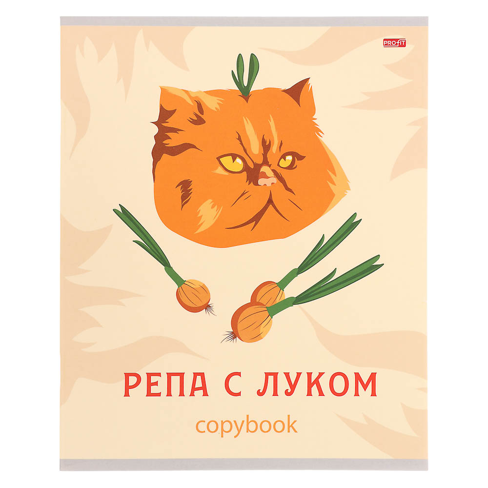 Тетрадь 48л., А5, в клетку, офсет, обл. мел.картон, скрепка, ВД-лак, микс, арт.№ 578-179