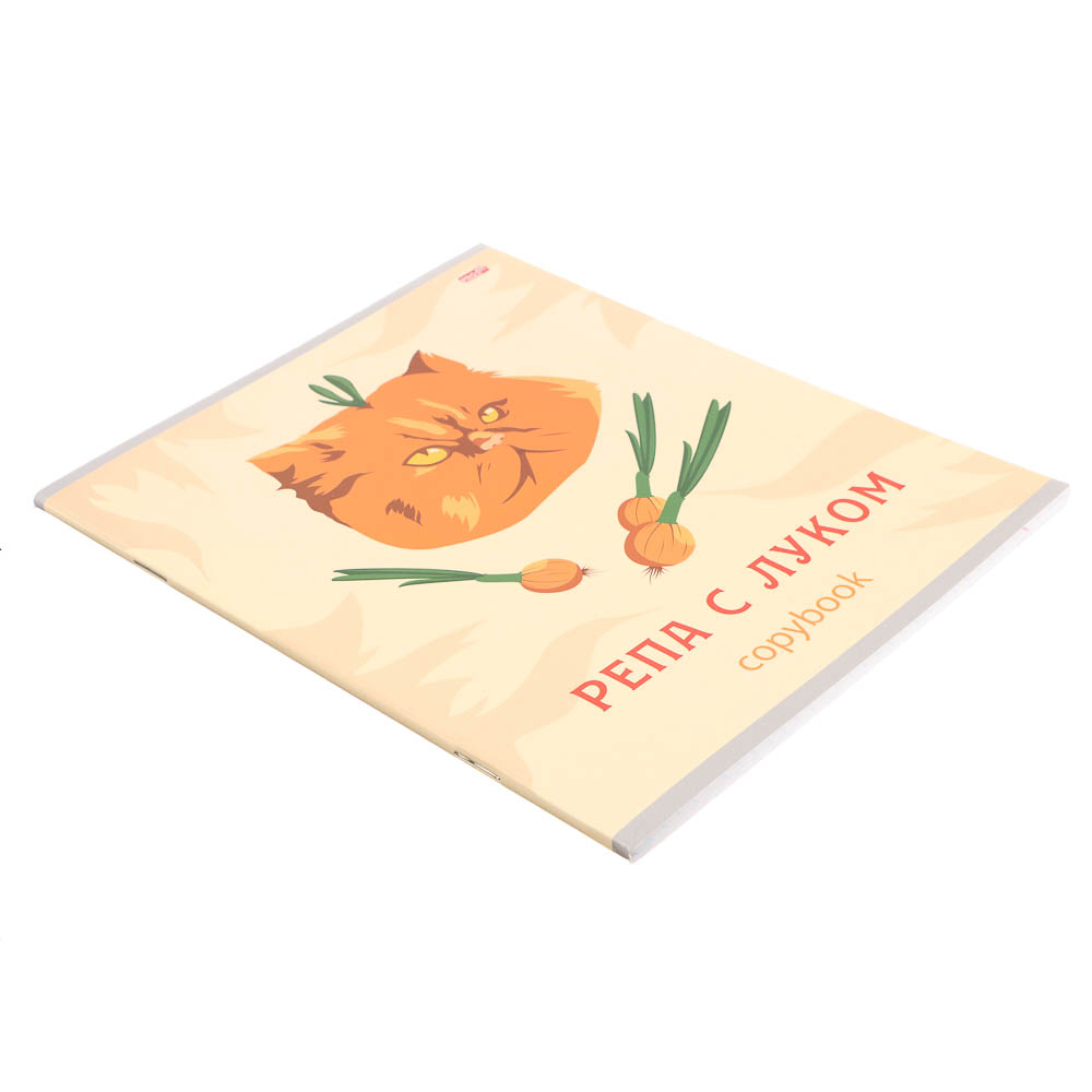 Тетрадь 48л., А5, в клетку, офсет, обл. мел.картон, скрепка, ВД-лак, микс, арт.№ 578-179