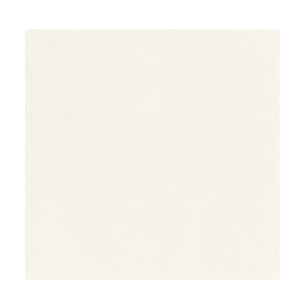 IVLEV CHEF Салфетка сервировочная, 2шт в комплекте, 40х40см, полиэстер, белый, арт.№ 435-101