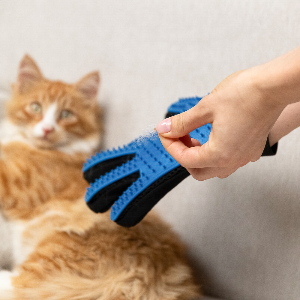 VETTA Перчатка-щетка для домашних животных, нейлон, ТПР, 23х16,5 см, арт.№ 273-147